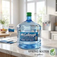 Green Cap 3 Gallon 100% Natural FL Spring Water